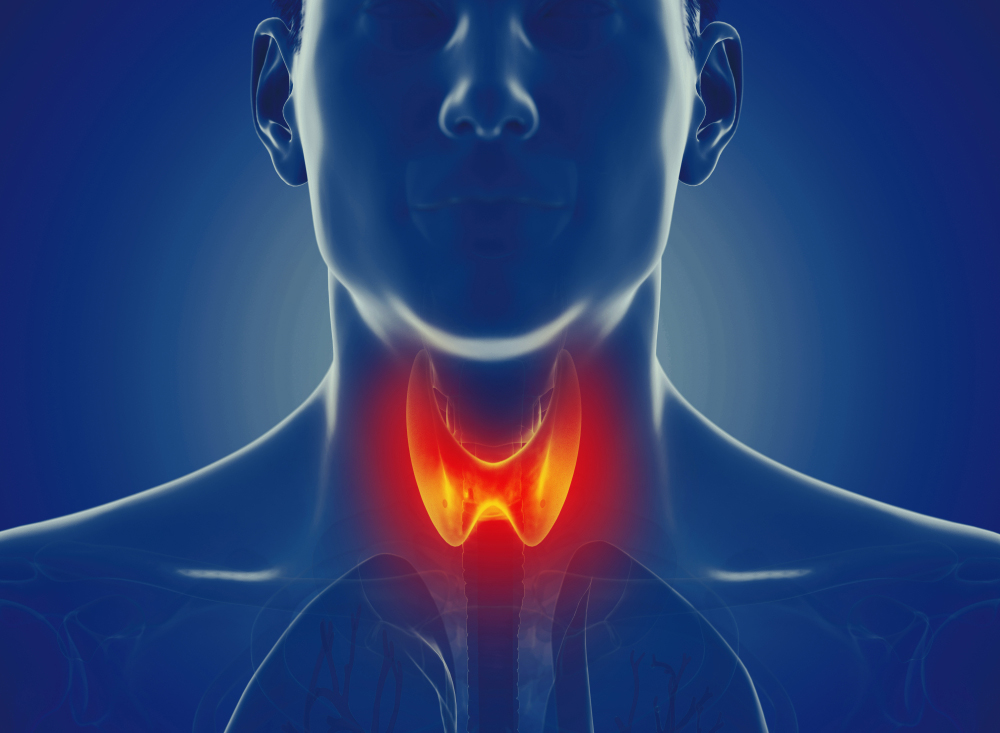 3d,rendered,medically,accurate,illustration,of,a,mans,thyroid,gland